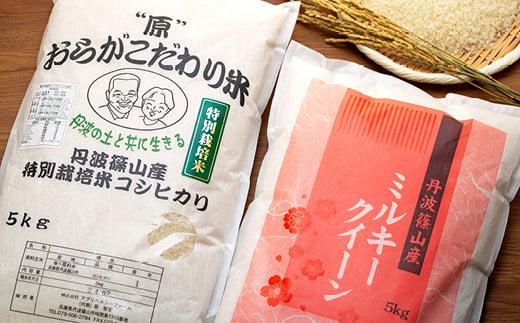 
新米　R５年産　丹波篠山産特別栽培コシヒカリ白米5kg　R５年産　丹波篠山産特別栽培ミルキークイーン白米5kg
