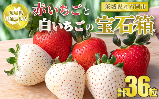 
【先行予約】【茨城県共通返礼品　石岡市産】赤いちごと白いちごの宝石箱　36粒
※2024年12月初旬～2025年3月中旬頃に順次発送予定
