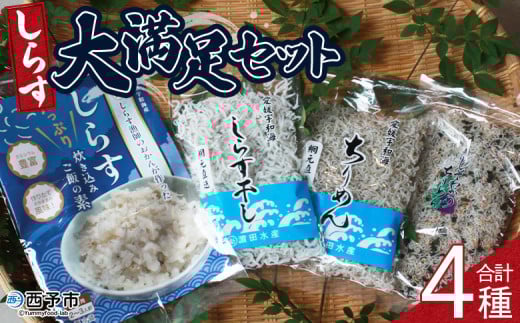 ＜しらす大満足セット 合計4種＞炊き込み 西予市産 ちりめん しらす干し 食べ比べ 健康 カルシウム 詰め合わせ チリメン シラス 魚介 海産物 海鮮 家庭用 贈答用 小分け 国産 特産品 産地直送 濱田水産 愛媛県 西予市【冷凍】