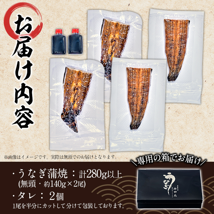 国産 うなぎ蒲焼 無頭(計280g以上・約140g×2尾) ウナギ 鰻 蒲焼き うな重 ひつまぶし タレ 魚 冷凍 大分県 佐伯市【DH259】【(株)ネクサ】