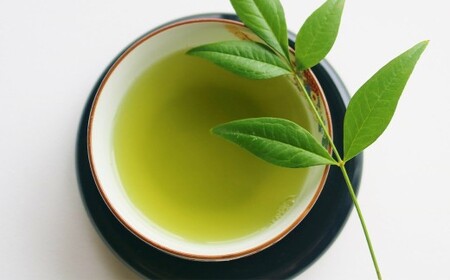 八女茶  【 上 】 煎茶セット 100g × 2袋 お茶 煎茶 緑茶 茶 飲み物 飲料 セット 常温 福岡県