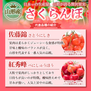 ☆フルーツ王国山形☆さくらんぼ 佐藤錦 Lサイズ 360g(180g×2パック) 【令和9年産先行予約】FS25-558