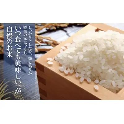 Y17-81 無洗米 元気つくし10kg定期便(隔月・年6回)