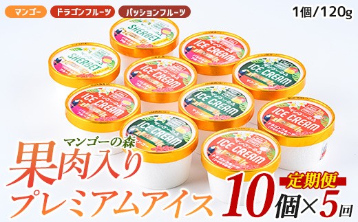 【全５回定期便】ゴロゴロ果肉入りアイス10個入定期便(マンゴーの森/IBZ040-002) アイス フルーツ マンゴー スイーツ シャーベット