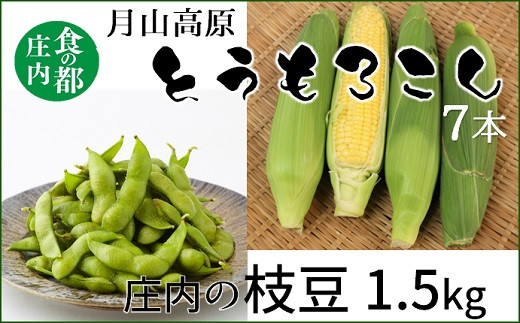
            食の都庄内　庄内の枝豆＆月山高原とうもろこし※7月下旬より順次配送
          