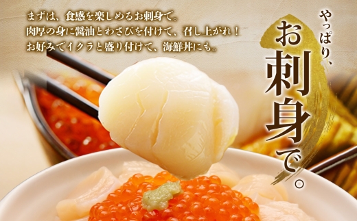 2506. ホタテ 500g ほたて 帆立 海鮮 玉冷 刺身 おつまみ 酒の肴 魚介 ほたて貝柱 送料無料 北海道 弟子屈町