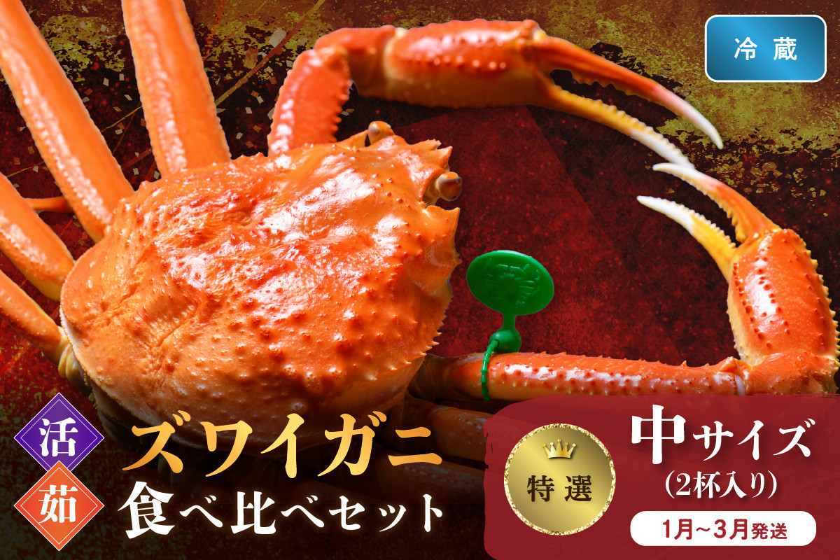 
                  【蟹の匠 魚政】【京丹後産 特撰】ズワイガニ 食べ比べセット〈活×茹〉中サイズ2杯入り（1月～3月発送）　UO01413
                