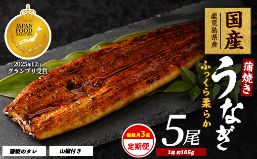 【全３回定期便・偶数月お届け】鹿児島県産うなぎ蒲焼じっくり焼き約165g×5尾(大新/IBZ021-005) 鰻 蒲焼 国産 丑の日 うな重 無頭 ギフト ふっくら 小分け レンジ 簡単 頒布会 小分け うな丼 ウナギ 冷凍