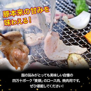 農林水産大臣賞獲得「四万十ポーク」 麦豚 焼き肉用ロース1.1kg／Ahc-01