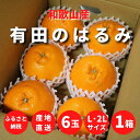 【ふるさと納税】【先行予約】和歌山県産 有田の はるみ 6玉 (L～2Lサイズ)【まごころ手選別】【ハルミ 春見 ミカン 蜜柑 柑橘 和歌山 有田】