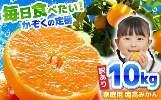 みかん【2025年12月中旬～発送】【訳あり】家庭用 南高みかん 10kg / みかん ミカン みかん ミカン ミカン 蜜柑 果物 くだもの フルーツ 甘い 不揃い 訳あり 訳アリ 10kg 長崎県 国産 mikan 柑橘 ★ / 南島原市 / 南高果樹農業協同組合 [SGI002]