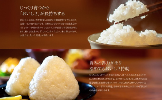 【先行受付】令和8年新米　数量限定　京都与謝野町産コシヒカリ「京の豆っこ米」玄米10kg×3袋