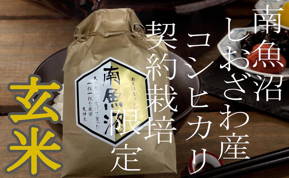 【令和8年産　新米予約】【定期便6Kg×12ヶ月】●玄米● 生産者限定 南魚沼しおざわ産コシヒカリ【定期便 銘柄米 ブランド米 玄米 こしひかり コシヒカリ 魚沼産 新潟米 産地直送】【2026年10月上旬から1ヶ月以内に順次発送予定】