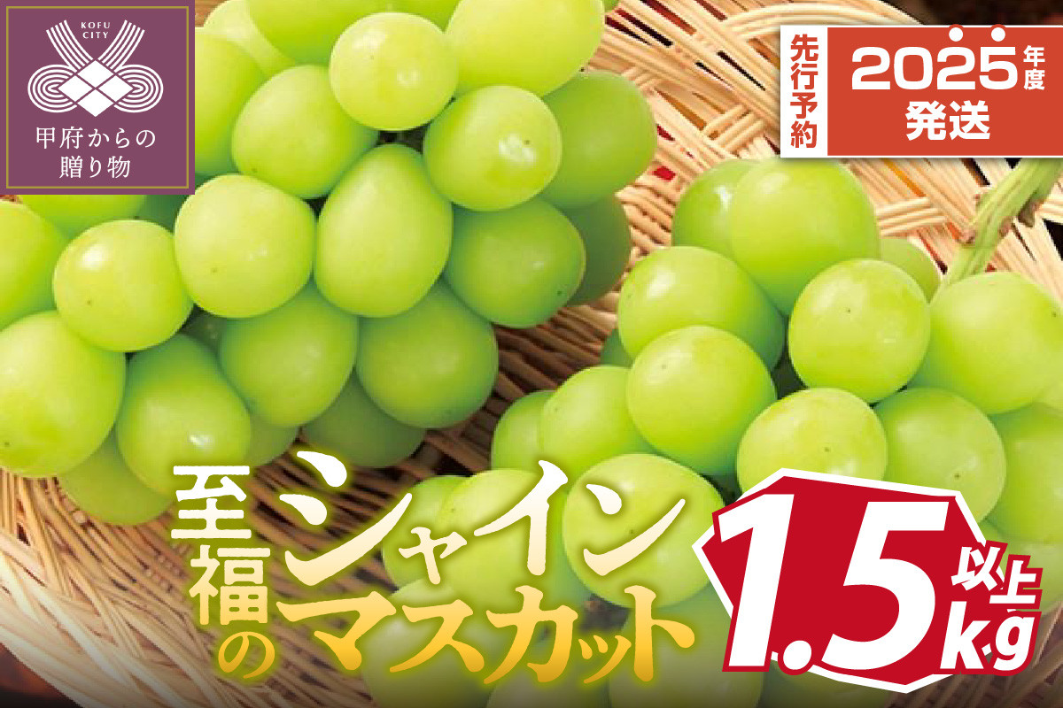 
〈2025年度配送分〉〈2025年度配送分〉至福の山梨県産シャインマスカット 3～4房（1.5kg以上）シャインマスカット 先行予約 2025年 山梨 県産 甲府 市産 ぶどう フルーツ 果物 3～4房 冷蔵 1.5kg以上 種なし 大粒 高級 甘い フルーツ 王国 山梨 数量限定 期間限定 【2025年8月上旬～10月上旬順次発送】
