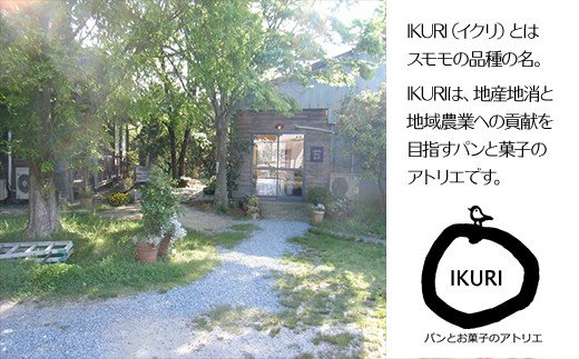 パンとお菓子のアトリエ ＩＫＵＲＩのシュークリーム【10個入り】 Ｗ1