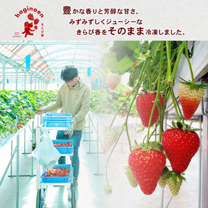 冷凍 いちご 2kg  完熟 きらぴ香  萩埜園 牧之原市 静岡 
