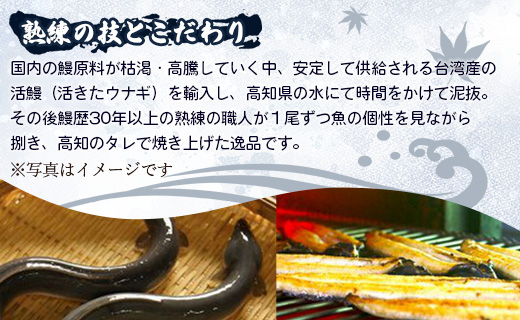 台湾産養殖うなぎ蒲焼 2尾(合計約400g) - タレ付き たれ 蒲焼き かばやき 鰻 ウナギ 肉厚 ふっくら 香ばしい スタミナ 肴 夕飯 ギフト お中元 御中元 お礼 御礼 感謝 贈答 贈り物 丑