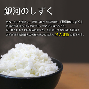 銀河のしずく 精米 12kg 窒素ガス充填梱包 12ヶ月 定期便 【みのり片子沢】 ／ 米 白米 2kg 6袋 特A