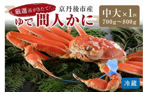 かに卸問屋がお届け・自社釜ゆで！幻のゆで間人ガニ 700ｇ～800ｇ 中大サイズ（11月発送）／北畿水産　松葉ガニ 松葉蟹 松葉がに 松葉かに ズワイガニ ボイル カニ 姿 ゆでかに ブランド蟹 タグ付き 間人ガニ 間人蟹　HK00216