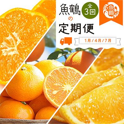 ふるさと納税 美浜町 【発送月固定定期便】紀州和歌山産旬の柑橘セット(みかん・なつみ・バレンシア)全3回