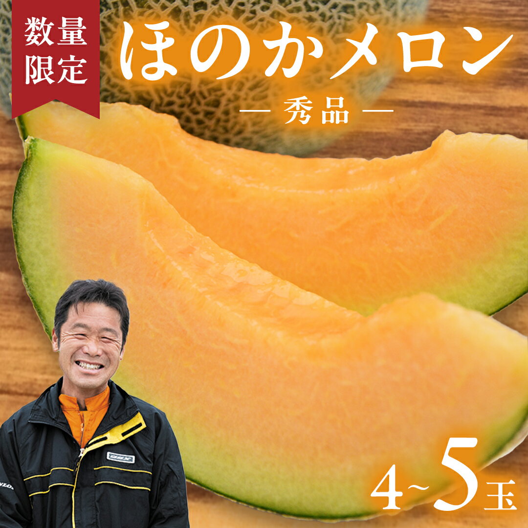 【ふるさと納税】【先行予約 2026年5月下旬以降発送 】令和8年産 先行予約 ほのかメロン 秀品（ 赤肉 ） 4玉 ～ 5玉 ( 2L ～ 3L ) メロン 果物 フルーツ 甘い 茨城県 茨城県産 期間限定 数量限定 産地直送 農家直送 2026 2026年発送 2026年先行受付 2026年