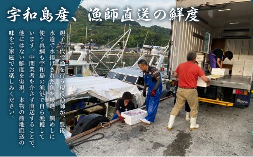 鯛 鯛めし 宇和島の鯛めし 1～2人前 8セット 宇和島鮮魚 タイ 魚介 刺身 お刺身 刺し身 お刺し身 人気 鯛めし お茶漬け 海鮮 海鮮丼 漬け丼 漬け 漬丼 丼 丼ぶり 人気返礼品 アレンジ 国