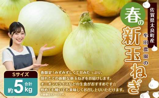 佐賀県太良町産 ～ 牟田農園の春の新玉ねぎ 5kg （ S ） 野菜 やさい 玉ねぎ 季節 春 新玉 オニオン オニオンスライス 生食 たまねぎ 国産 佐賀県産 【 2026年4月上旬～6月上旬まで順次発送予定 】