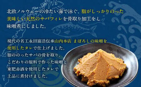 骨取り 天然さばフィレの味噌煮 100g×15切（個包装・真空パック入り） 鯖 さば