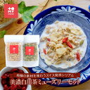 【ふるさと納税】美濃白川茶ミューズリー＆甘酒仕込みのミューズリーセット（各220g×1袋）| 健康食 シリアル 無添加 甘酒 オートミール おいしい ヘルシー トミィミューズリー BS001 | 食品 加工食品 人気 おすすめ 送料無料