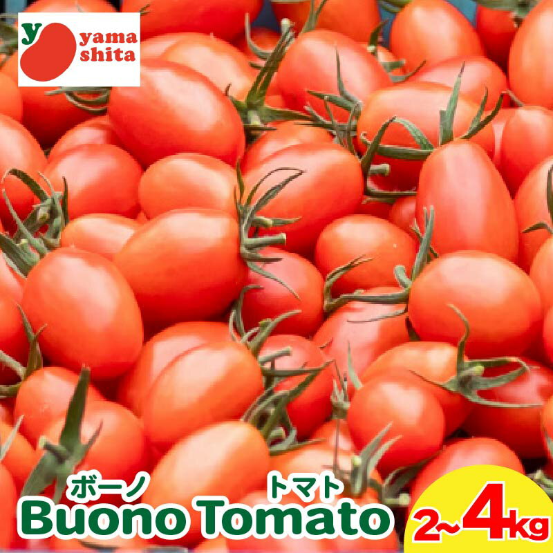 【ふるさと納税】 ミニトマト ボーノトマト 2kg 4kg アイコ トマト フルーツトマト 農家直送 夏野菜 サラダ 先行予約 阿波市 徳島県