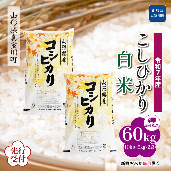 【ふるさと納税】 ※先行受付※ 令和7年産 真室川町厳選 コシヒカリ ［白米］ 60kg 定期便（10kg×6回お届け）