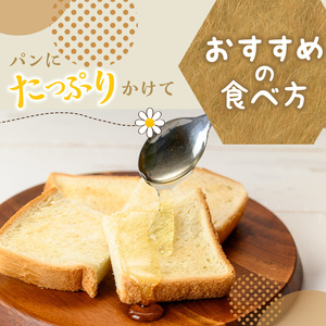 a1002-B 《期間限定！》姶良ハニー(500g)【原電設工業】姶良市 国産 ハチミツ はちみつ 蜂蜜 百花蜜 蜜 常温 常温保存
