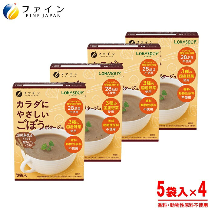 【ふるさと納税】H-251　からだにやさしいごぼうポタージュ5袋×4個セット