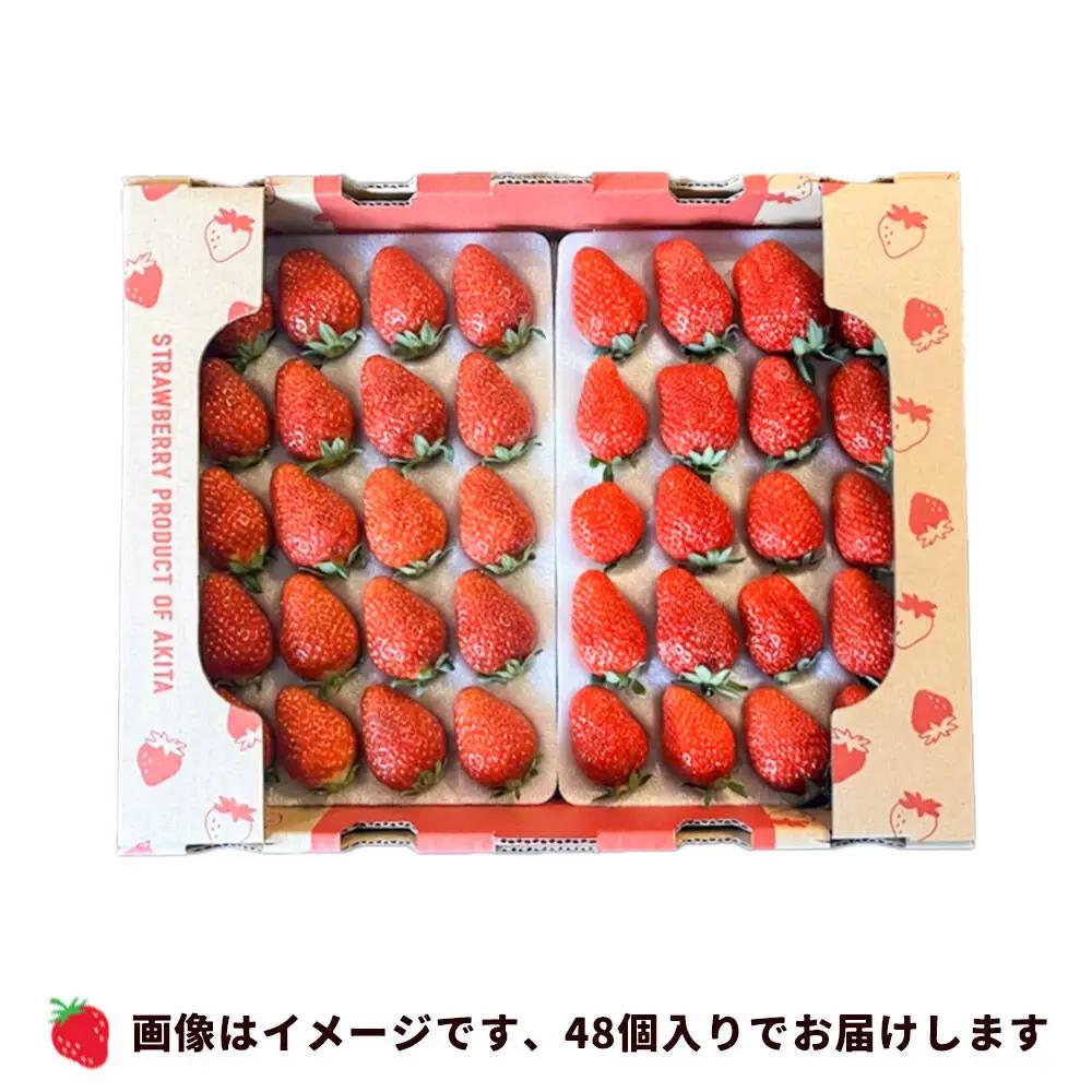西武秋田店がおすすめする秋田の推し 秋田県産 いちご「秋田夏響」 なつひびき 約600g【先行受付】「夏のしずく」のブランド