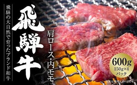 飛騨牛 焼肉 厳選2種盛（赤身・カルビ） 600g（150g×各2パック） | 焼肉 MZ008