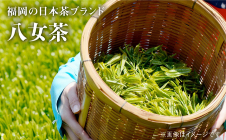 八女茶 10袋セット(計1kg)＜お茶の星陽園＞那珂川市 お茶 緑茶 茶葉 20000 20000円 [GAD002]