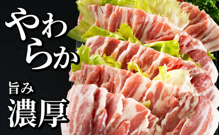 《定期便》長崎県産豚 バラ焼肉用 計1kg(500g×2)【6回お届け】