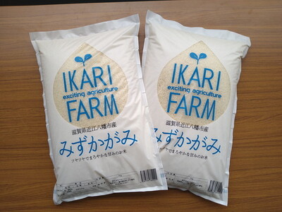 令和7年産 みずかがみ 白米 10kg ( 5kg × 2袋 )  冷めても美味しい あっさりとした味わい 【C015W】近江米