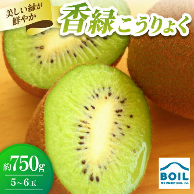 【ふるさと納税】キウイ　美しい緑が鮮やかな　香緑(こうりょく)約750g(5～6玉)【配送不可地域：離島】【1678281】
