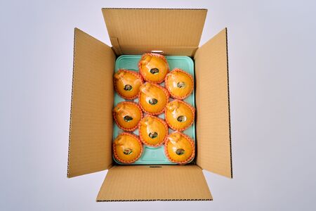 先行予約 不知火 果実の宝箱 小玉デコ柑 約5kg 24玉〜30玉 2026年3月上旬から5月下旬発送予定 田辺農園