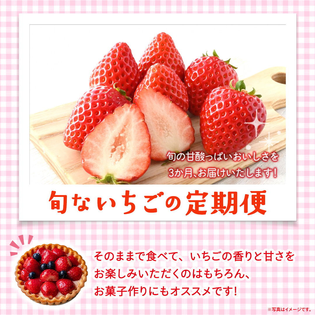 【定期便】旬ないちご品種おまかせ3ヶ月連続お届け便 （約250g×2パック）×3回【2027年1月から発送開始】（茨城県共通返礼品 [いちご]：城里町産） 果物 くだもの フルーツ イチゴ 苺 旬 品種おまかせ 人気 [FC106-NT]