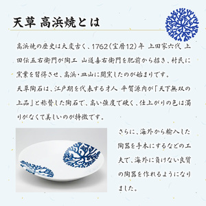 S026-069_天草 高浜焼 楕円カレー皿 3枚（青）