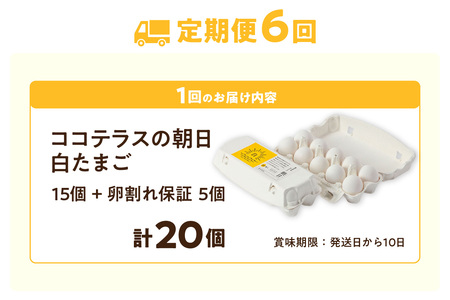 【6ヵ月定期便】ココテラスの朝日（白たまご）15個 + 5個保証（計20個）【JGAP認証】 農家直送 新鮮 卵 タマゴ 白卵 玉子 鶏卵 朝食 夕食 夜食 朝ごはん たまご焼き だし巻き卵 オムレツ