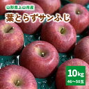 【ふるさと納税】有機肥料栽培 葉とらず サンふじ 上山市産 10kg 46～50玉 りんご 果物 フルーツ 産地直送 山形 お取り寄せ 送料無料 山形県 上山市 0079-2414