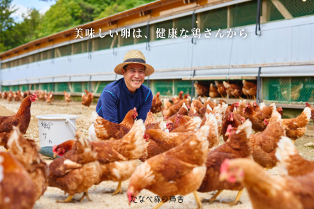 卵30個 平飼い八雲鶏(やくもどり)卵 彩り天佑卵(てんゆうらん) 卵10個×3パック 卵30個 おいしい卵 卵焼き 卵かけご飯 洋菓子用卵 卵料理に！ 安心安全卵 高品質卵