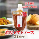 【ふるさと納税】高千穂産完熟トマト使用 濃厚トマトソース3本セット トマトソース ソース トマト 完熟トマト 完熟トマトソース セット 詰め合わせ 普段使い 使い勝手 小分け パウチ 料理 パスタ ピザ トースト グルメ お取り寄せ おすすめ 宮崎県 高千穂町 送料無料