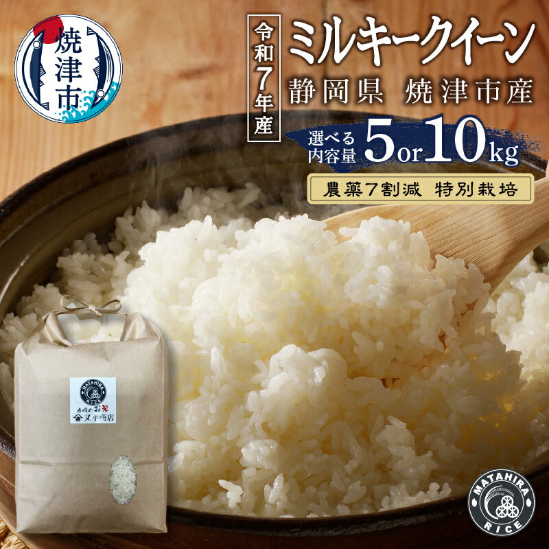 【ふるさと納税】 【選べる内容量】 米 白米 新米 令和7年産 ミルキークイーン 農薬7割減 特別栽培 安心 安全 5kg 10kg（5kg×2袋） ごはん 焼津 a15-703 a30-324