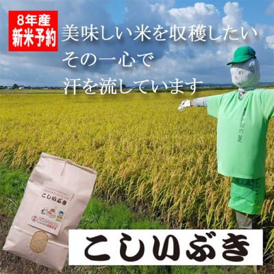 ふるさと納税 燕市 【8年産新米 先行予約】コシヒカリとはひと味違う美味しさ「こしいぶき」白米5kg