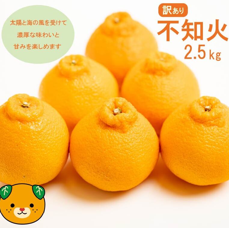 【先行予約】訳あり 不知火 2.5kg 減農薬 サイズミックス 不揃い 愛南フルーツ 発送時期：2027年3月下旬～なくなり次第終了