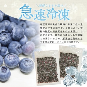 冷凍ブルーベリー1.0kg(500g×2袋) 山形県産 冷凍便 ※離島発送不可 冷凍 冷凍フルーツ ブルーベリー フルーツ ジャム ジュース スムージー 小分け お菓子作り ゆざ食彩工房 遊佐町 庄内